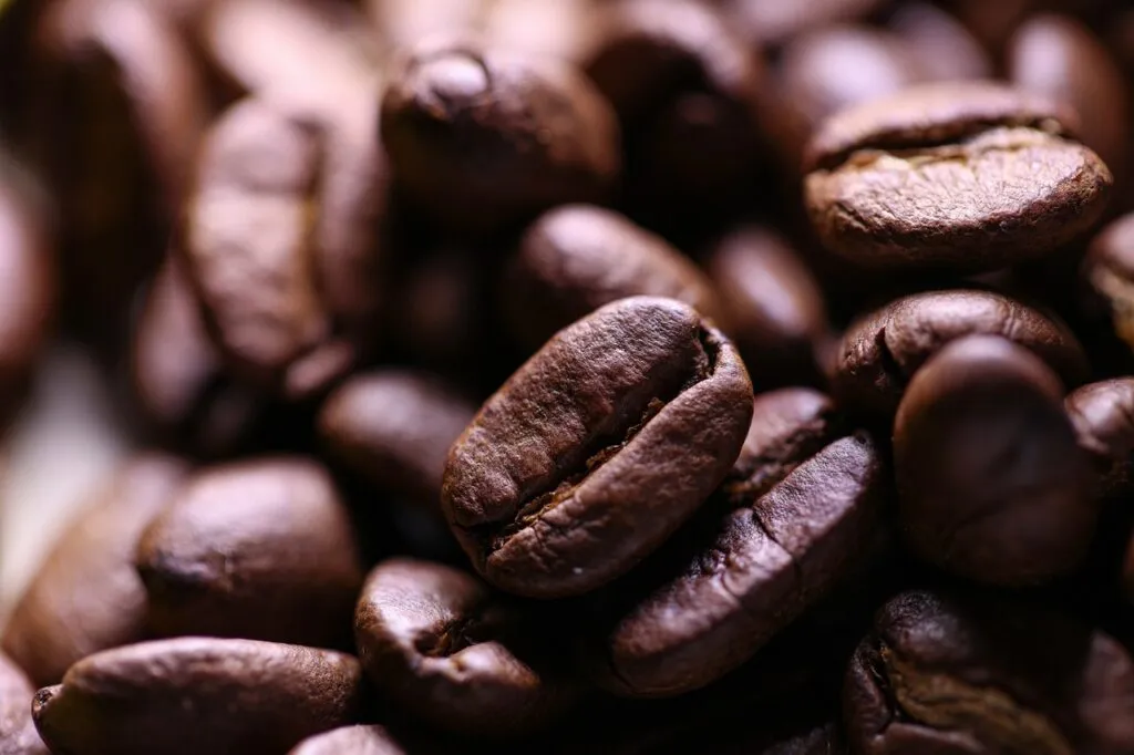 Close-up of a shiny, roasted Yemeni coffee bean surrounded by other coffee beans.