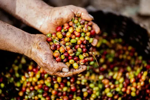 Person holding a pile of coffee beans.