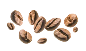 coffee-beans-levitate-white-background